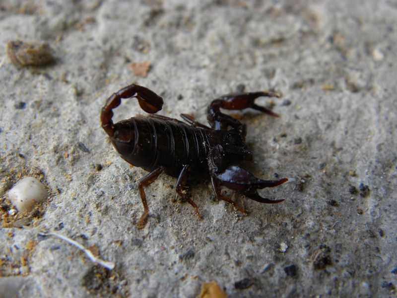 DSCN5608.JPG